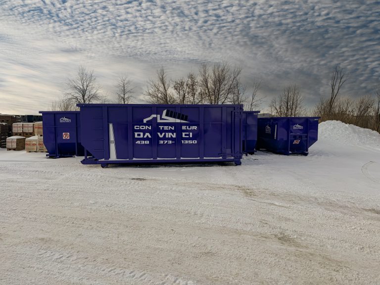 Large blue waste containers labeled Conteneur Da Vinci on a snowy ground with a cloudy sky and leafless trees in the background